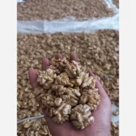 مغز گردو سفید تویسرکان